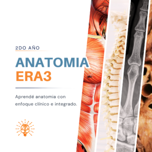 Anatomia | ERA3