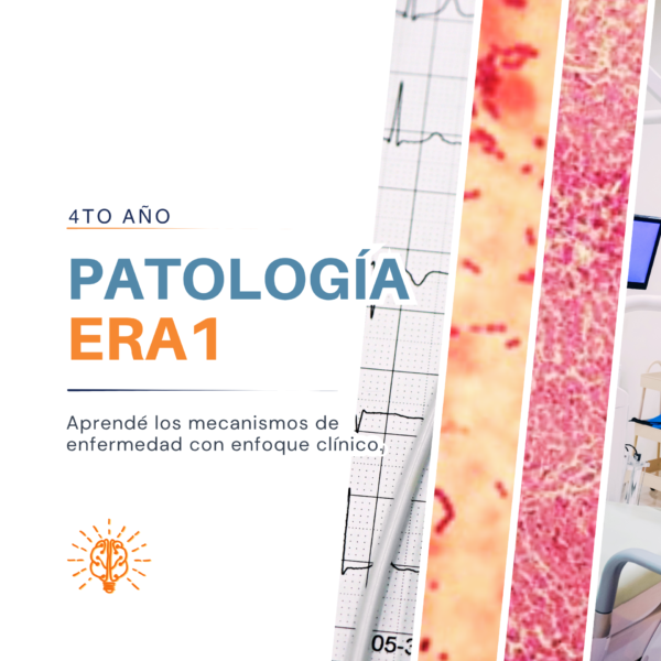 curso de miniaturas