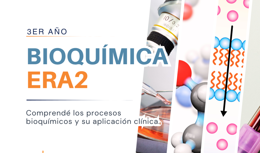 CAPA CURSOS - 16