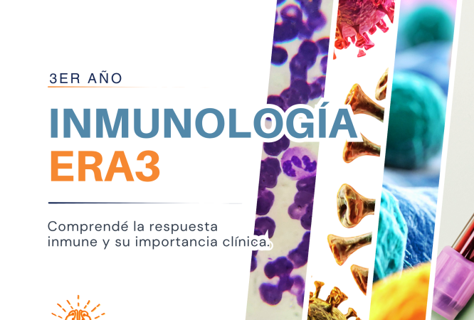 CAPA CURSOS - 17
