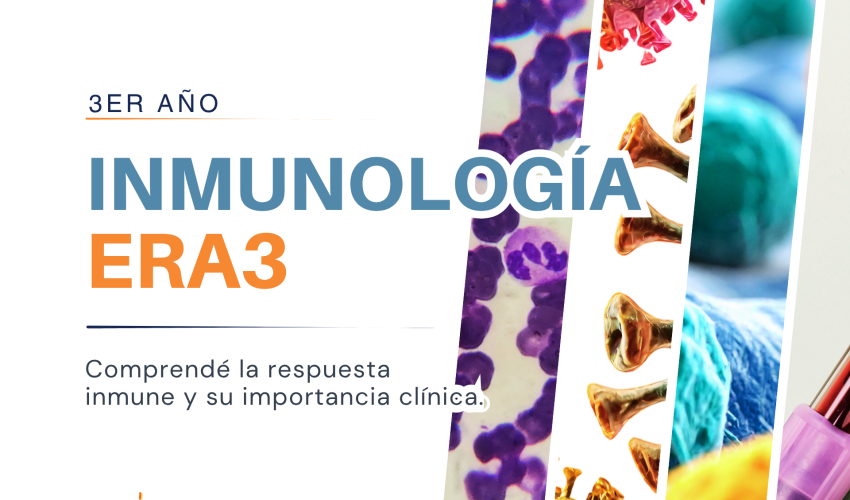 CAPA CURSOS - 17