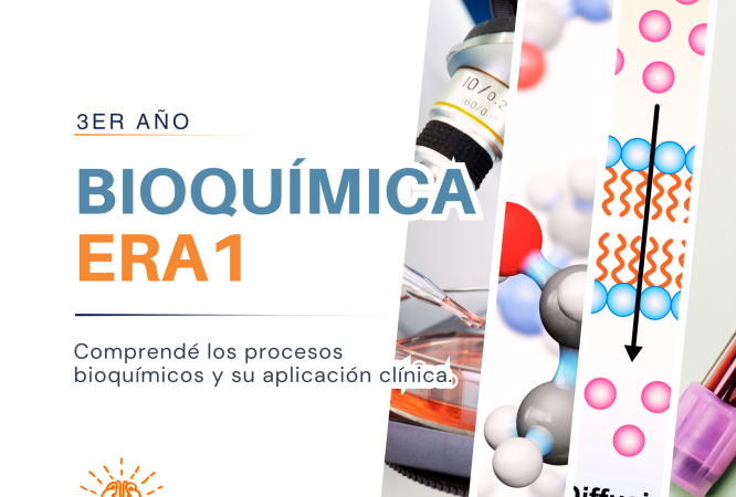 CAPA CURSOS