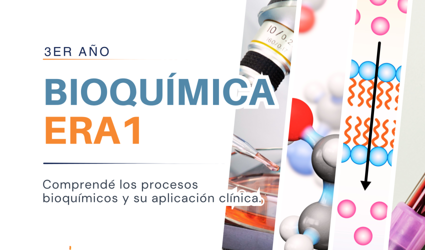 CAPA CURSOS