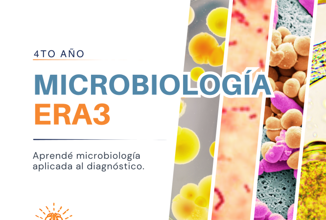 Cópia de CAPA CURSOS